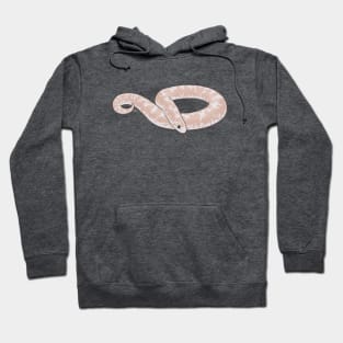 Snow Kenyan Sand Boa Hoodie